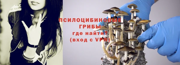 индика Алзамай