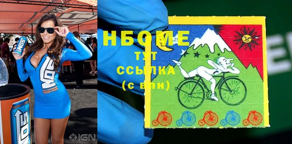 индика Алзамай