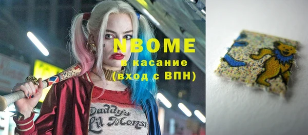 индика Алзамай