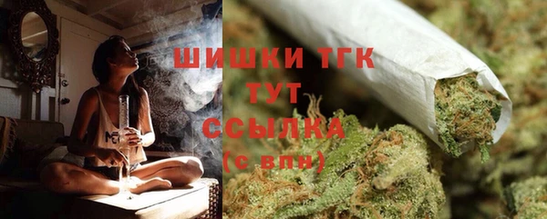 соль ск Новодвинск