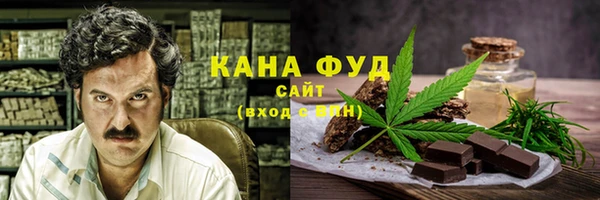 индика Алзамай