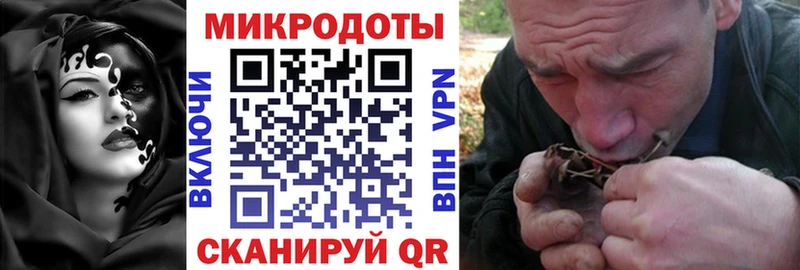 ссылка на мегу ссылка  Рошаль  Галлюциногенные грибы ЛСД  купить закладку 